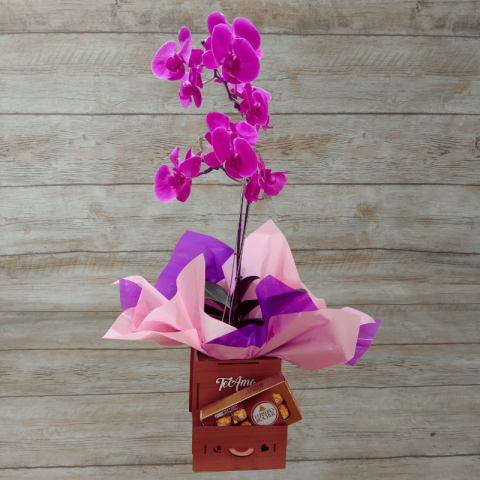 Orquídea Phalaenopsis Te Amo c/ 2 Hastes Pote 15 + Chocolate