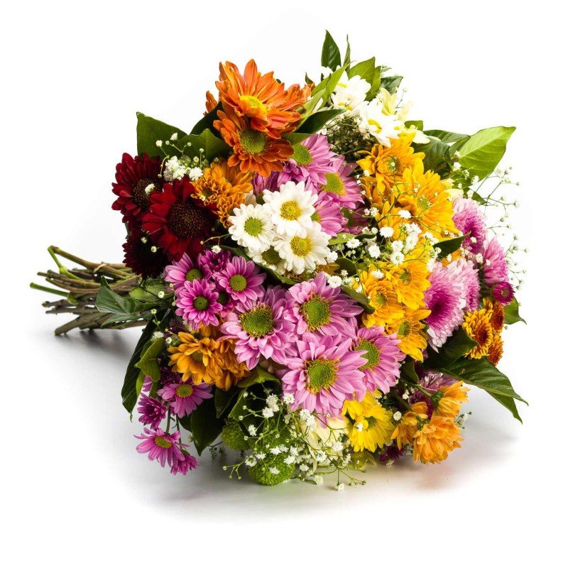 Arranjo com Flores do Campo Arranjo com Flores do Campo